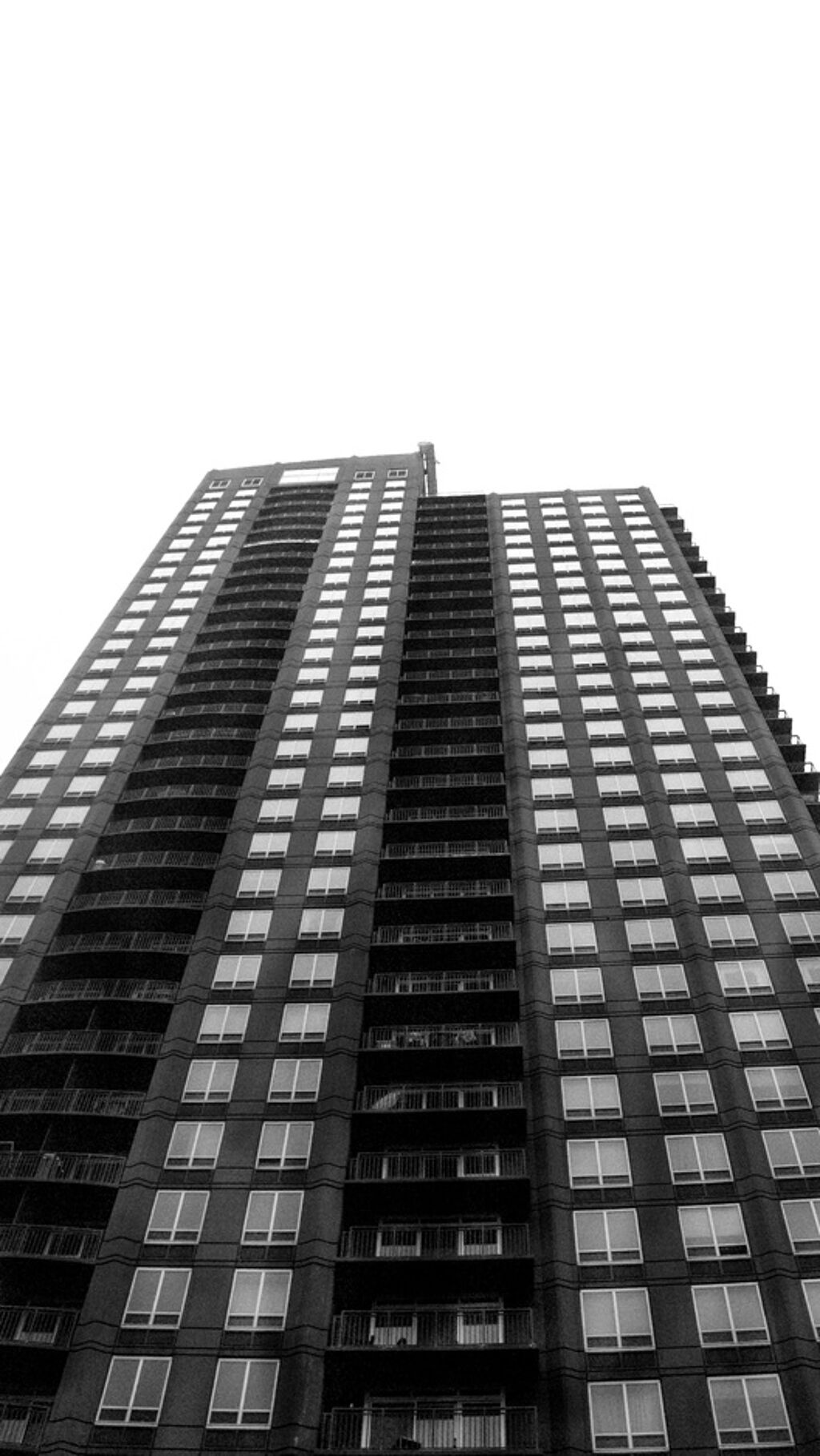 a grid of windows of a high rise