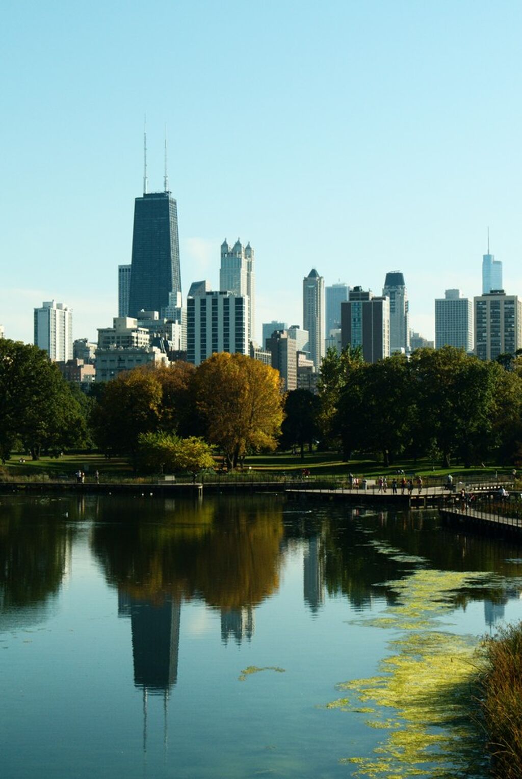 The Chicago skyscrapers are reflected in the water of a pond